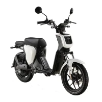 Электроскутер Skyboard Sevastopol 1800W Black